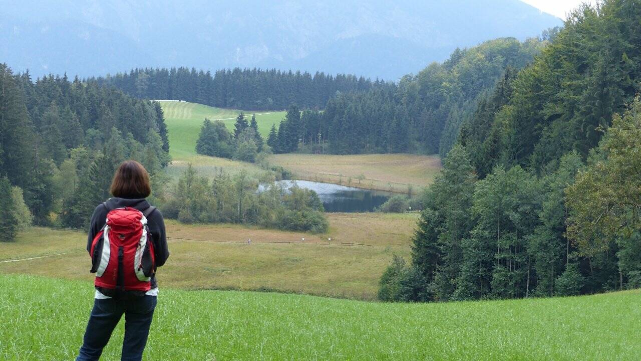 Wanderung inklusive Seeblick