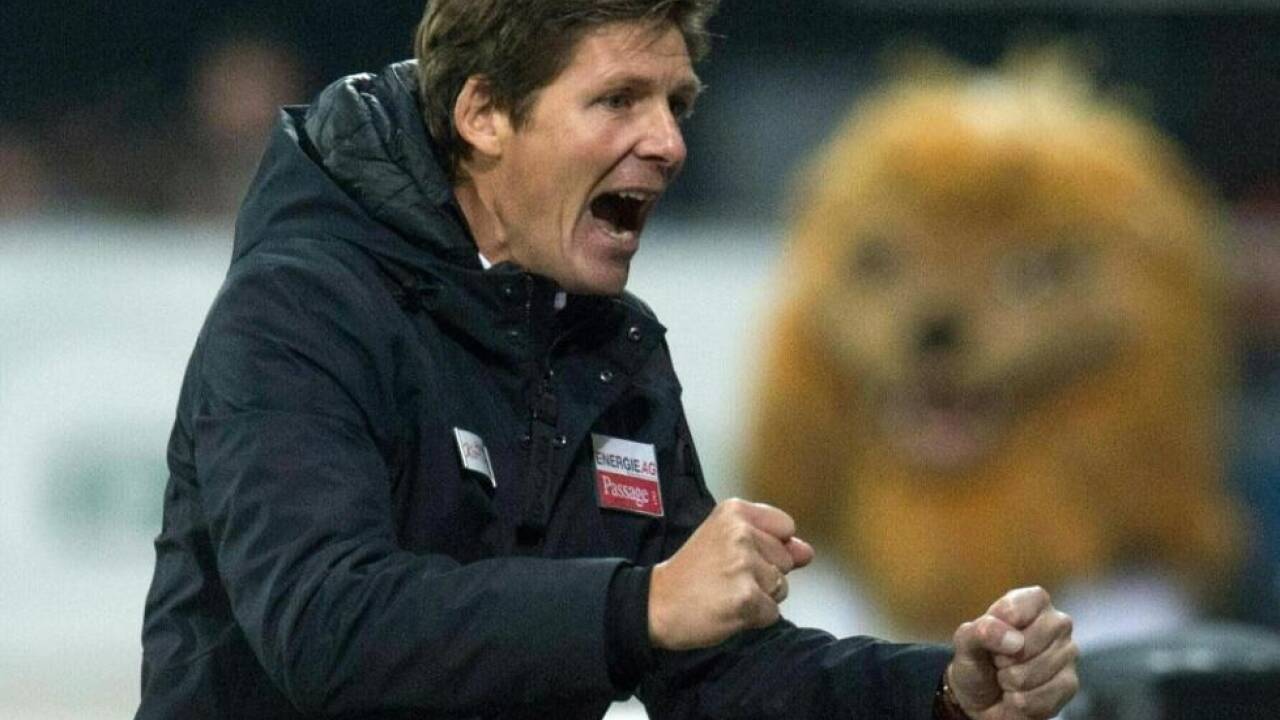 Der Oberösterreicher betreut die Linzer Athletiker seit Mai 2015 