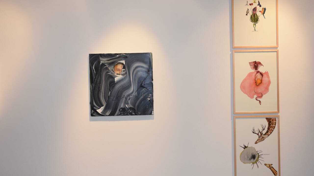 Galerie Trapp 