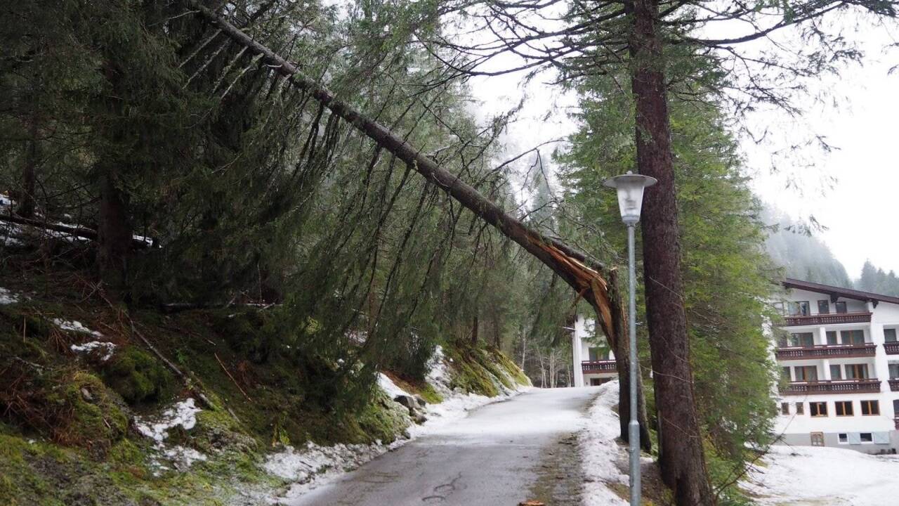 Verwüstung im Gasteiner Tal. 