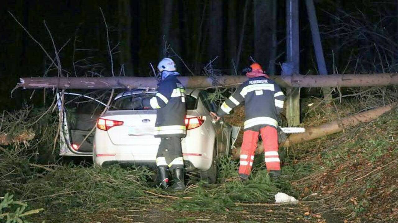 Umgestürzte Bäume im Bereich Deutschlandsberg. 