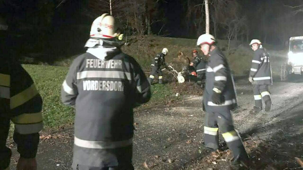 Umgestürzte Bäume im Bereich Deutschlandsberg. 