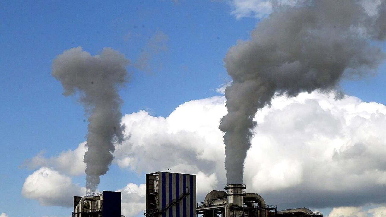 Umweltschutz ernst nehmen – das fordert der WWF von Türkis-Blau. 