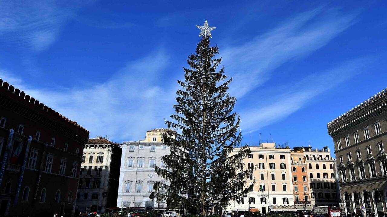 Der Schein trügt: Der römische Christbaum ist vertrocknet. Der Schein trügt: Der römische Christbaum ist vertrocknet.