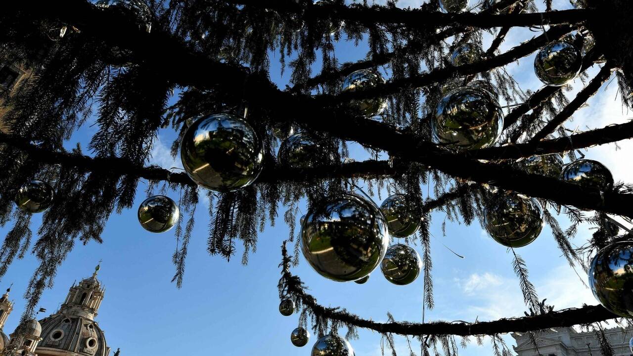 Der Schein trügt: Der römische Christbaum ist vertrocknet. Der Schein trügt: Der römische Christbaum ist vertrocknet.