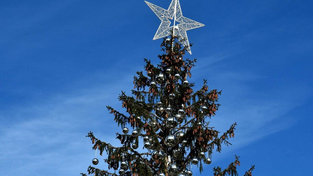 Der Schein trügt: Der römische Christbaum ist vertrocknet. Der Schein trügt: Der römische Christbaum ist vertrocknet.