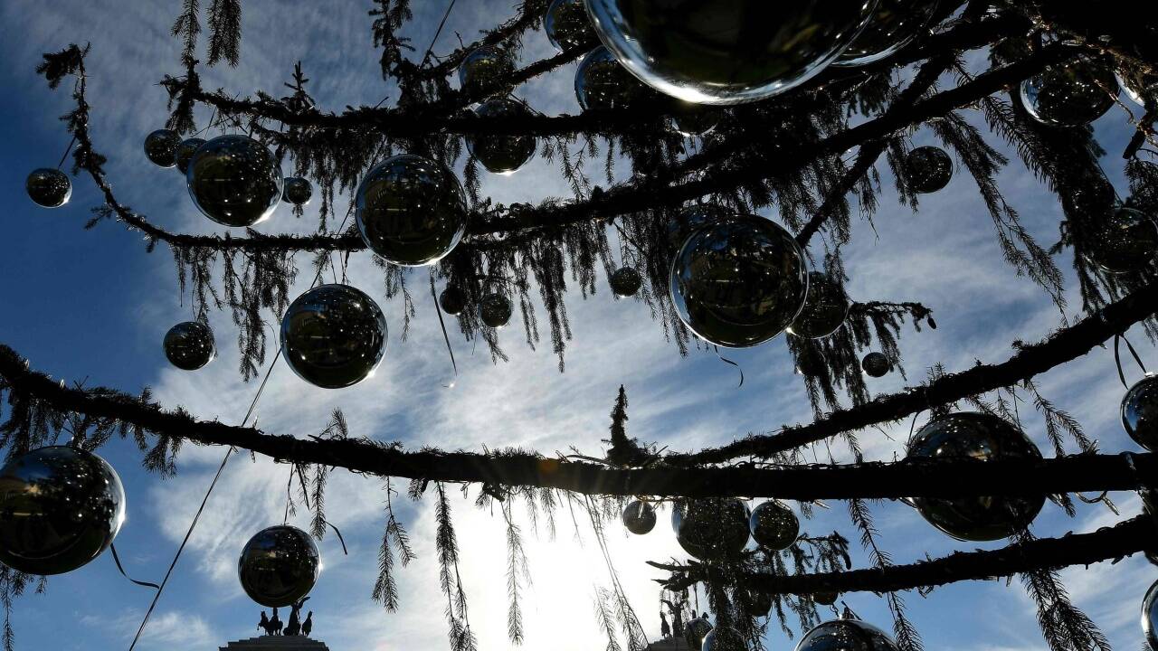 Der Schein trügt: Der römische Christbaum ist vertrocknet. Der Schein trügt: Der römische Christbaum ist vertrocknet.
