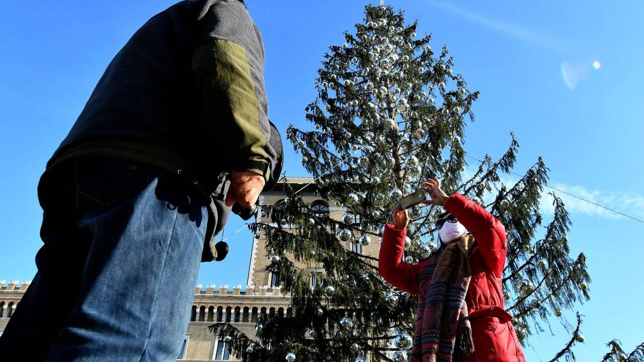 Der Schein trügt: Der römische Christbaum ist vertrocknet. Der Schein trügt: Der römische Christbaum ist vertrocknet.