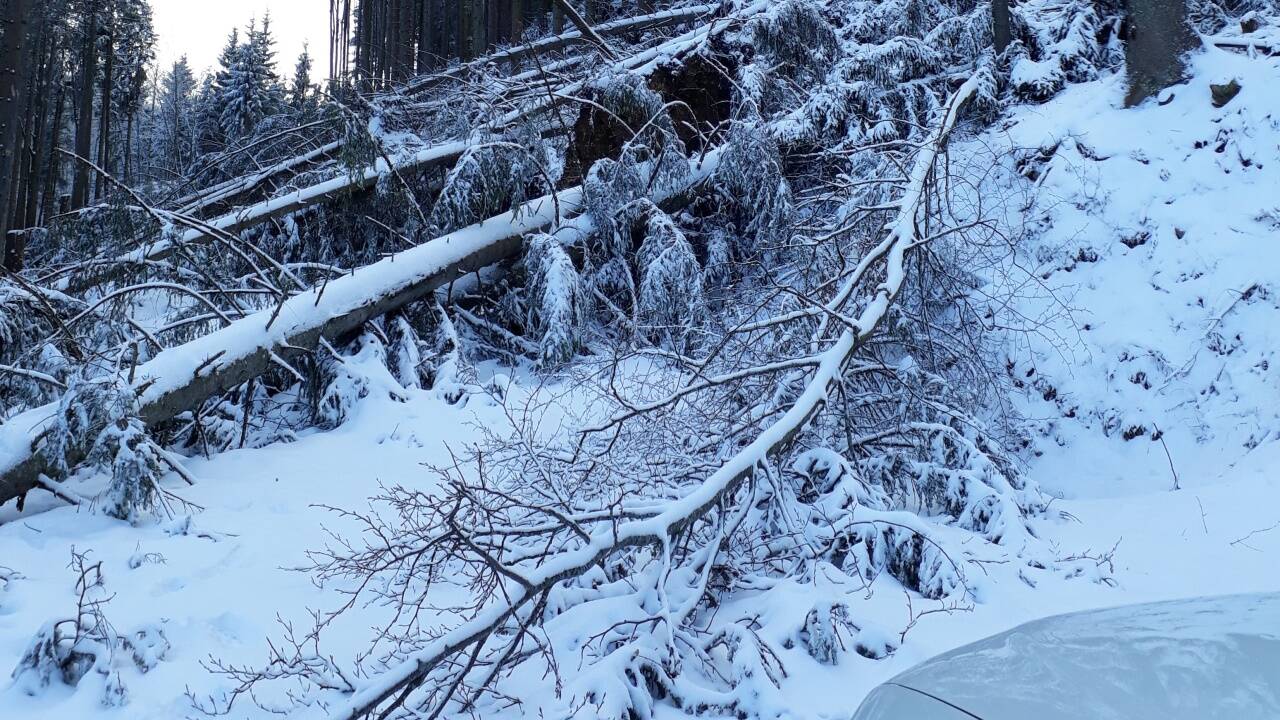 Windwurf nach Sturm Herwart, Oktober 2017, Forstrevier St. Gilgen. 