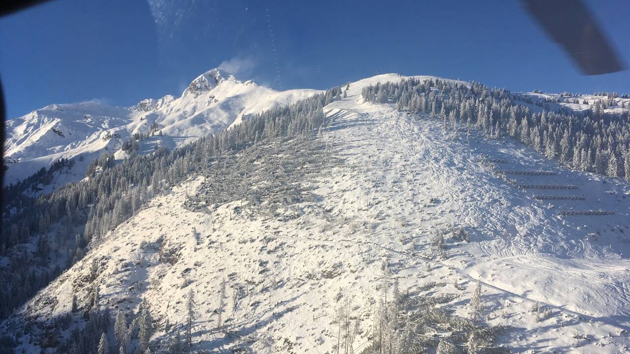 Windwurffläche nach Föhnsturm Yves, Dezember 2017, Forstrevier Gastein. 