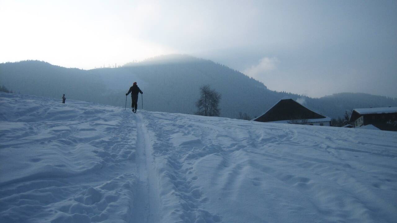 Die Aufstiegsspur vom Startpunkt Schreierbauer peilt vorerst den Faistenauer Schafberg an. Die Aufstiegsspur vom Startpunkt Schreierbauer peilt vorerst den Faistenauer Schafberg an.