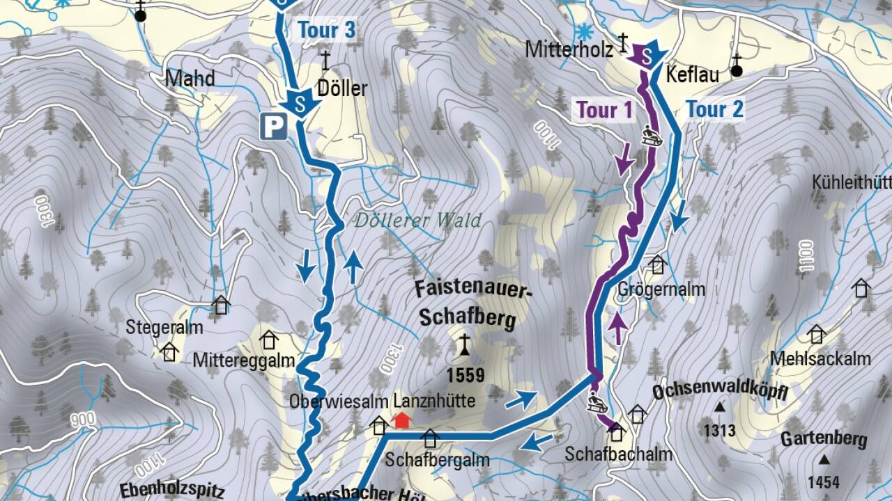 Die Aufstiegsspur vom Startpunkt Schreierbauer peilt vorerst den Faistenauer Schafberg an. Die Aufstiegsspur vom Startpunkt Schreierbauer peilt vorerst den Faistenauer Schafberg an.