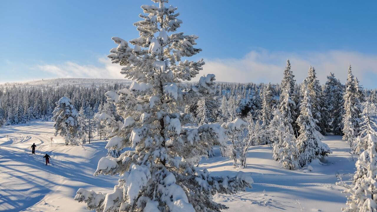 Winterurlaub in Sälen bedeutet viel mehr als Skifahren. 