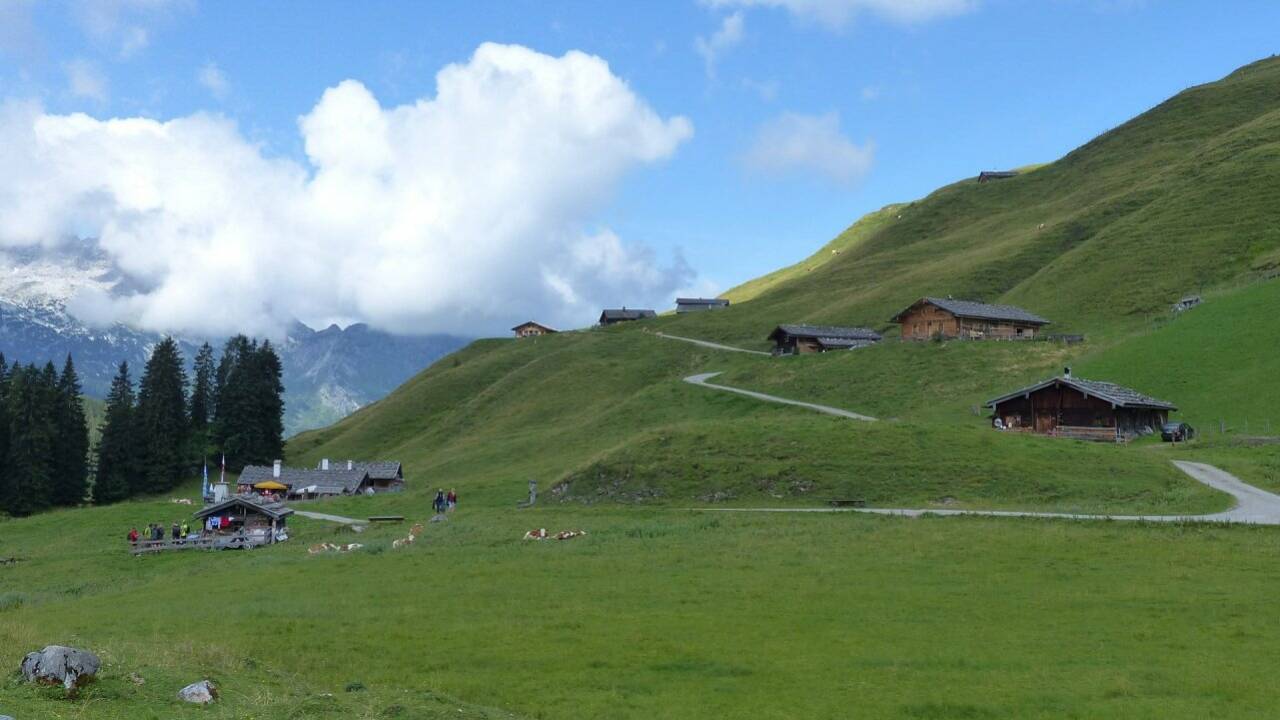 Almgebiet oder Klamm Almgebiet oder Klamm