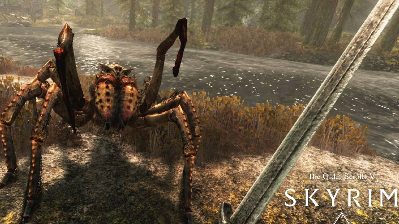 Skyrim VR 