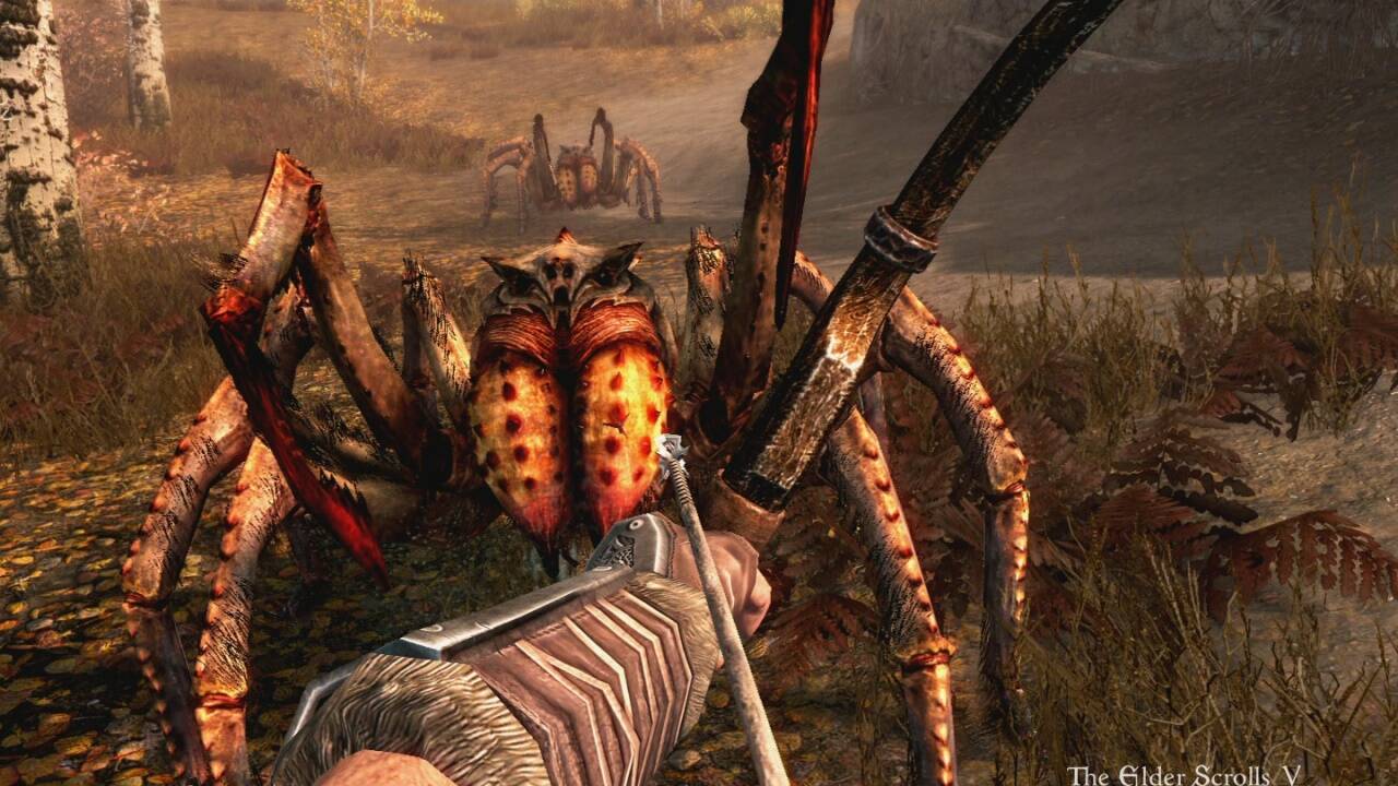 Skyrim VR 