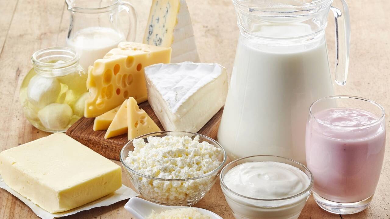 Ohne Milchsäurebakterien hätten wir nicht eine Reihe von köstlichen Lebensmitteln. 