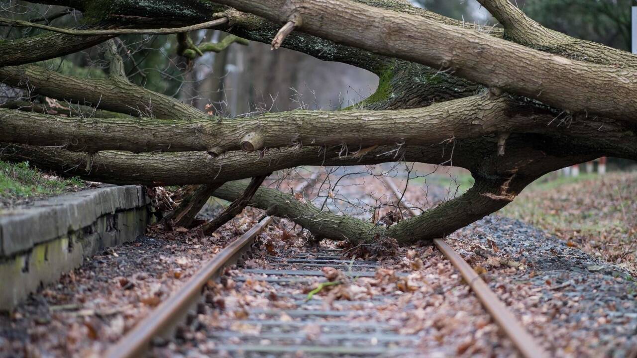 Ein umgestürzter Baum blockiert im deutschen Münster eine Bahnstrecke. 
