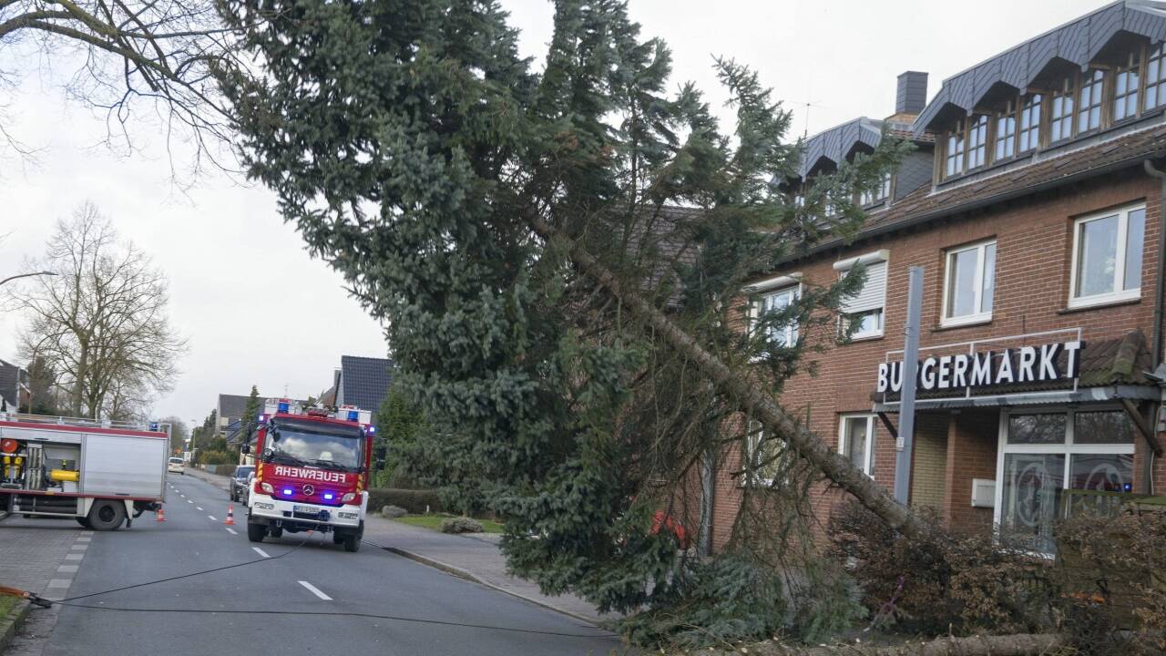 Ein Baum ist in Vörde (Nordrhein-Westfalen) auf eine Strasse gekippt. Mit schweren Böen und starken Regengüssen zieht das Sturmtief „Friederike“ über Nordrhein-Westfalen. 