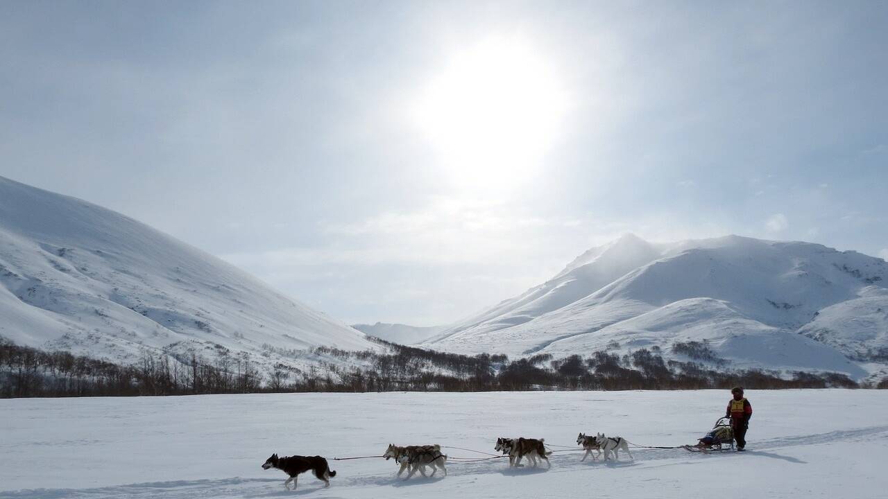 Die Winterlandschaft mit einer Hundeschlittenfahrt mal anderes erkunden.  