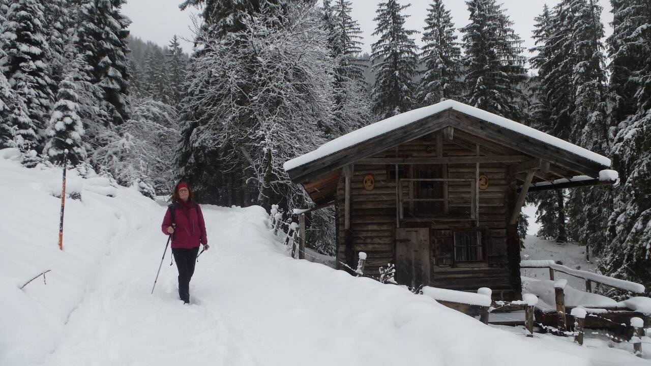 Auf dem Pfaffental-Rundweg Richtung Soleleitungsweg.  