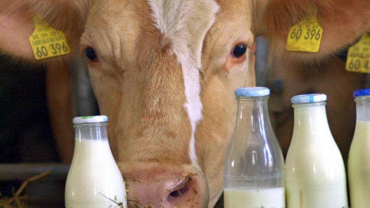 Immer mehr Konsumenten in Österreich kaufen Heumilch 