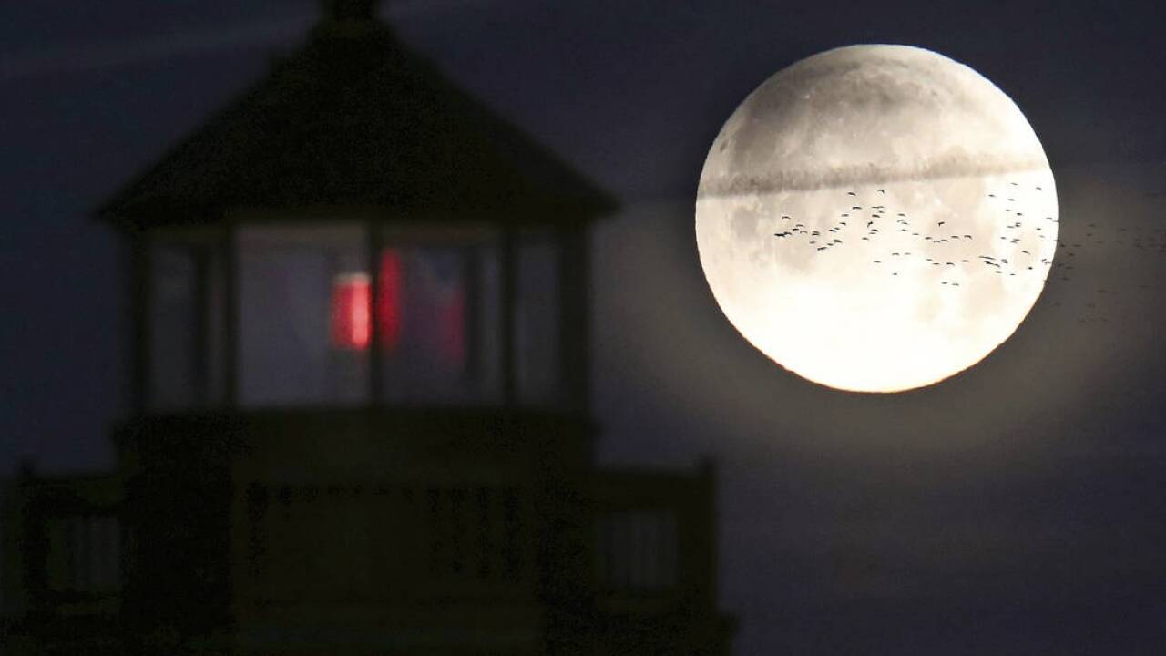 Faszinosum Mond – hier gesehen in Cumberland County (New Jersey, USA). 