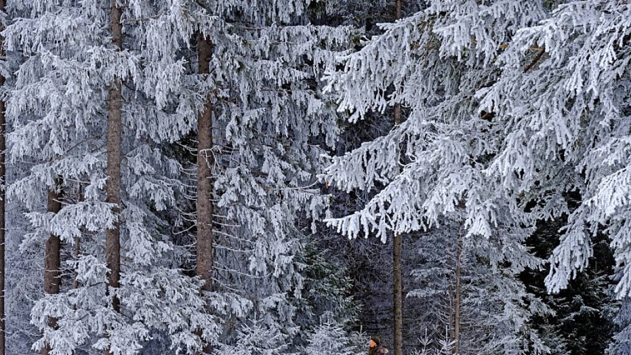 Bis zu minus 20 Grad werden erwartet. Das ist zwar frisch, doch dafür schenkt der Winter zauberhafte Bilder.  
