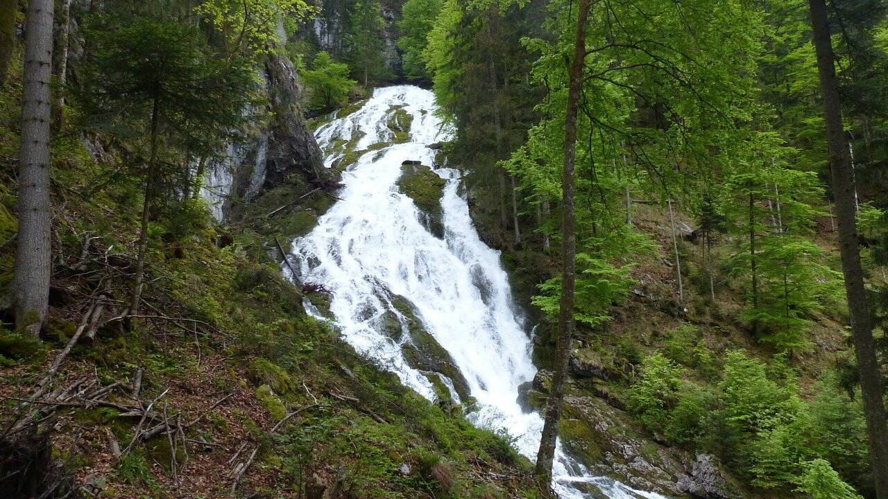 Wege zum Wasser