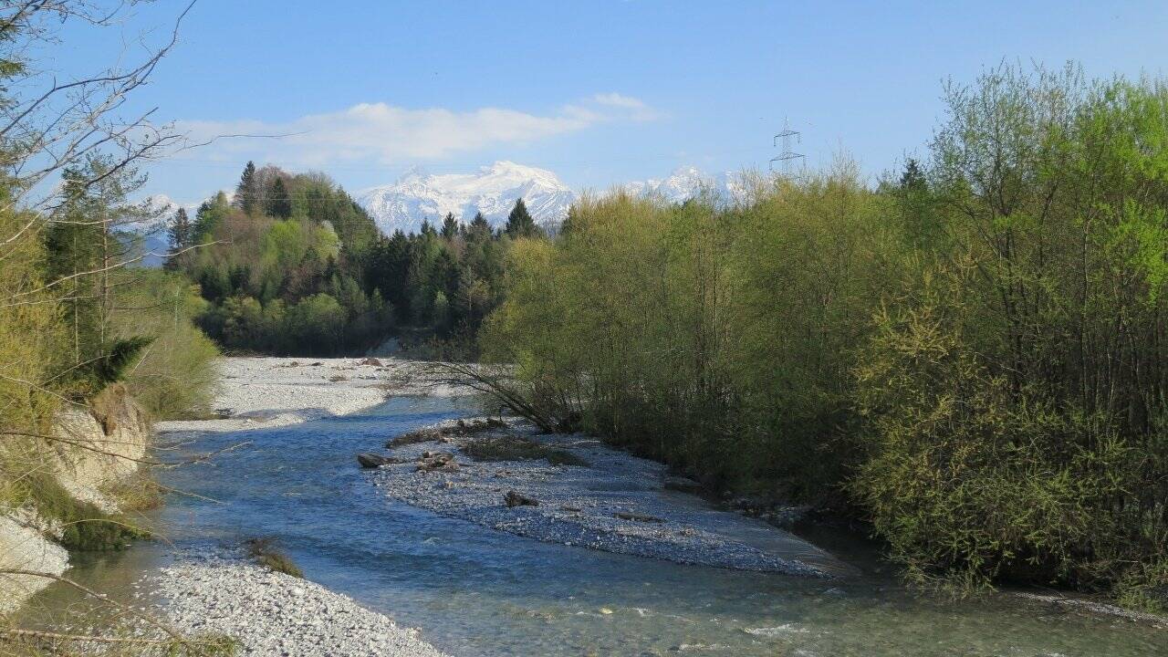 Lebensader Taugl