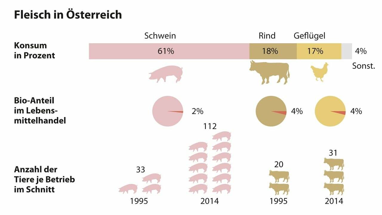 Mangelware Bioschwein: "Wer Fleisch isst, will billige Ware"