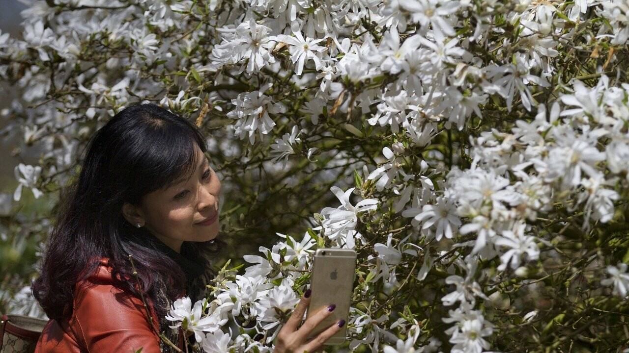 Selfies: Forscher sind dem Phänomen auf der Spur