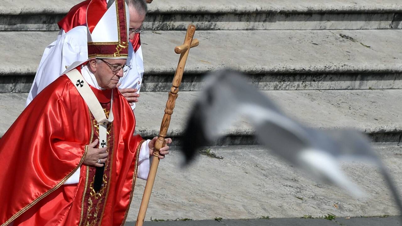 Der Papst beim Feiern der Messe.  