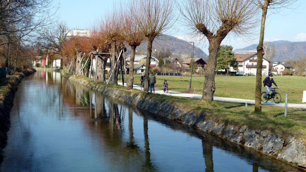 Geschütze Kopfweiden am ältesten Wasser- und Energieversorgungssystem Mitteleuropas. Geschütze Kopfweiden am ältesten Wasser- und Energieversorgungssystem Mitteleuropas.