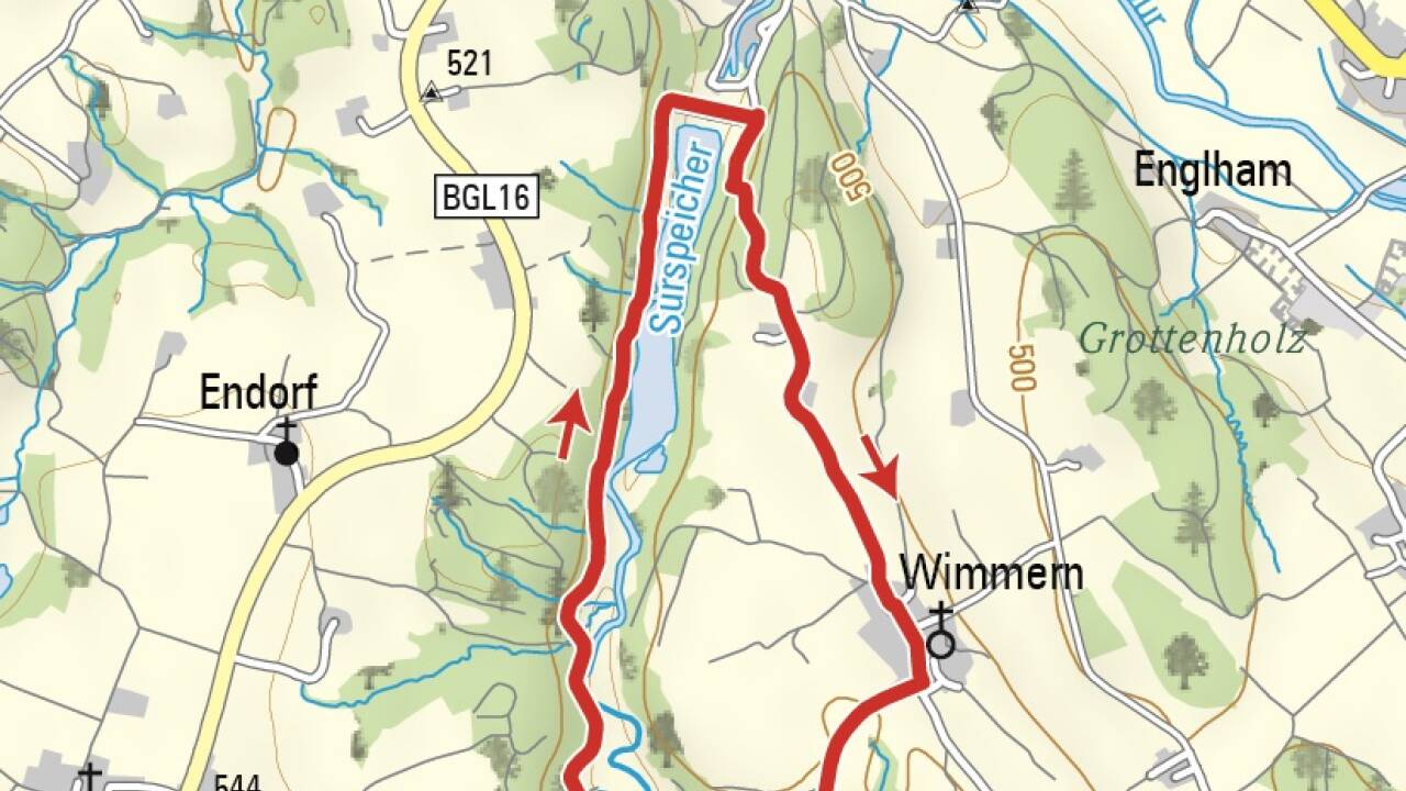 Frühlingsboten im lichten Wald am Wegrand. 