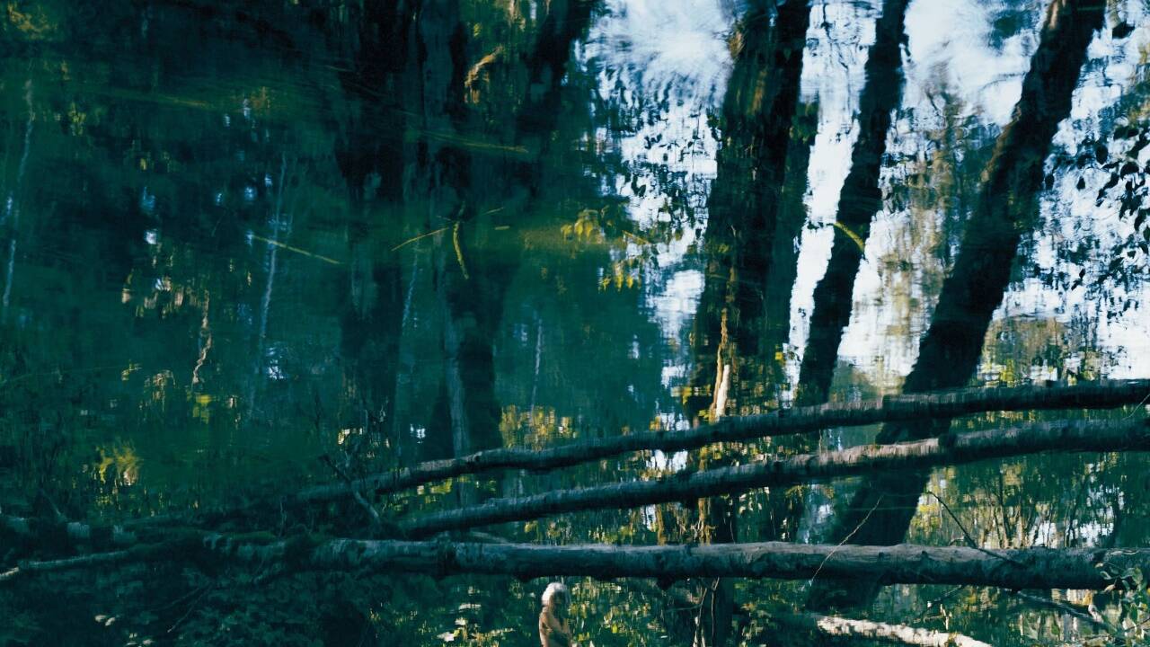 Axel Hütte: Porträt. Nitinaht, 2002. 