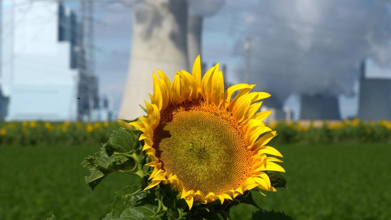 Es gibt Hoffnung, vor allem dann, wenn sich die Menschheit zu kluger Politik durchringt. Das Bild zeigt eine Sonnenblume vor einem deutschen Braunkohlekraftwerk. Es gibt Hoffnung, vor allem dann, wenn sich die Menschheit zu kluger Politik durchringt. Das Bild zeigt eine Sonnenblume vor einem deutschen Braunkohlekraftwerk.