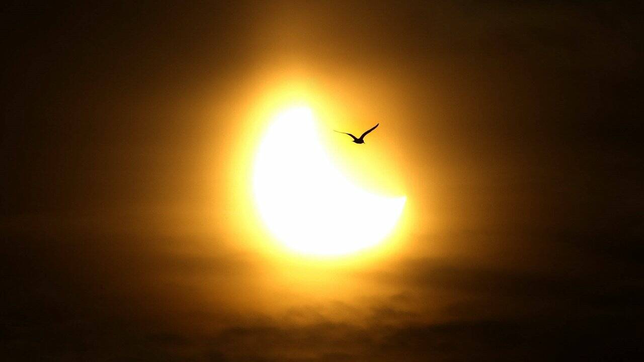 "Sonnenfinsternisjäger" stürmen Färöer-Inseln
