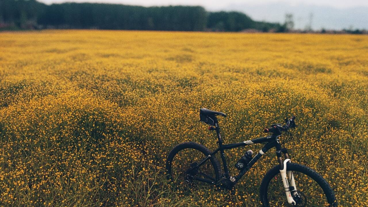 Aber auch eine Radtour hilft zur Vorbeugung von Osteoporose.  