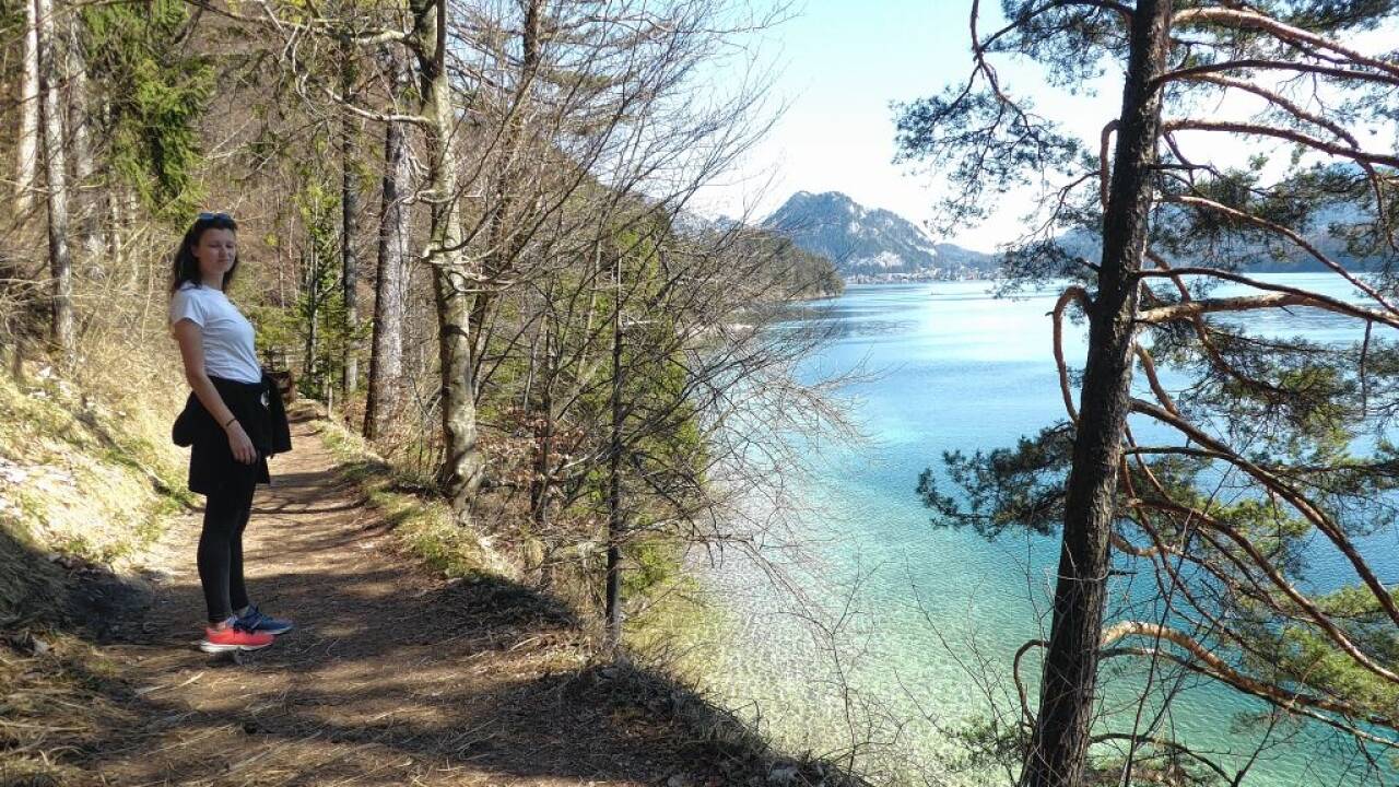 Wandern entlang des Fuschlsees. Wandern entlang des Fuschlsees.