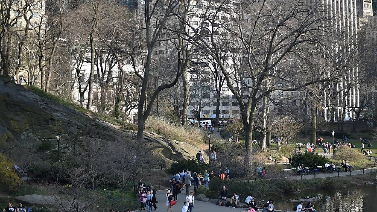 Die 'grüne Lunge' Manhattans wird autofrei 