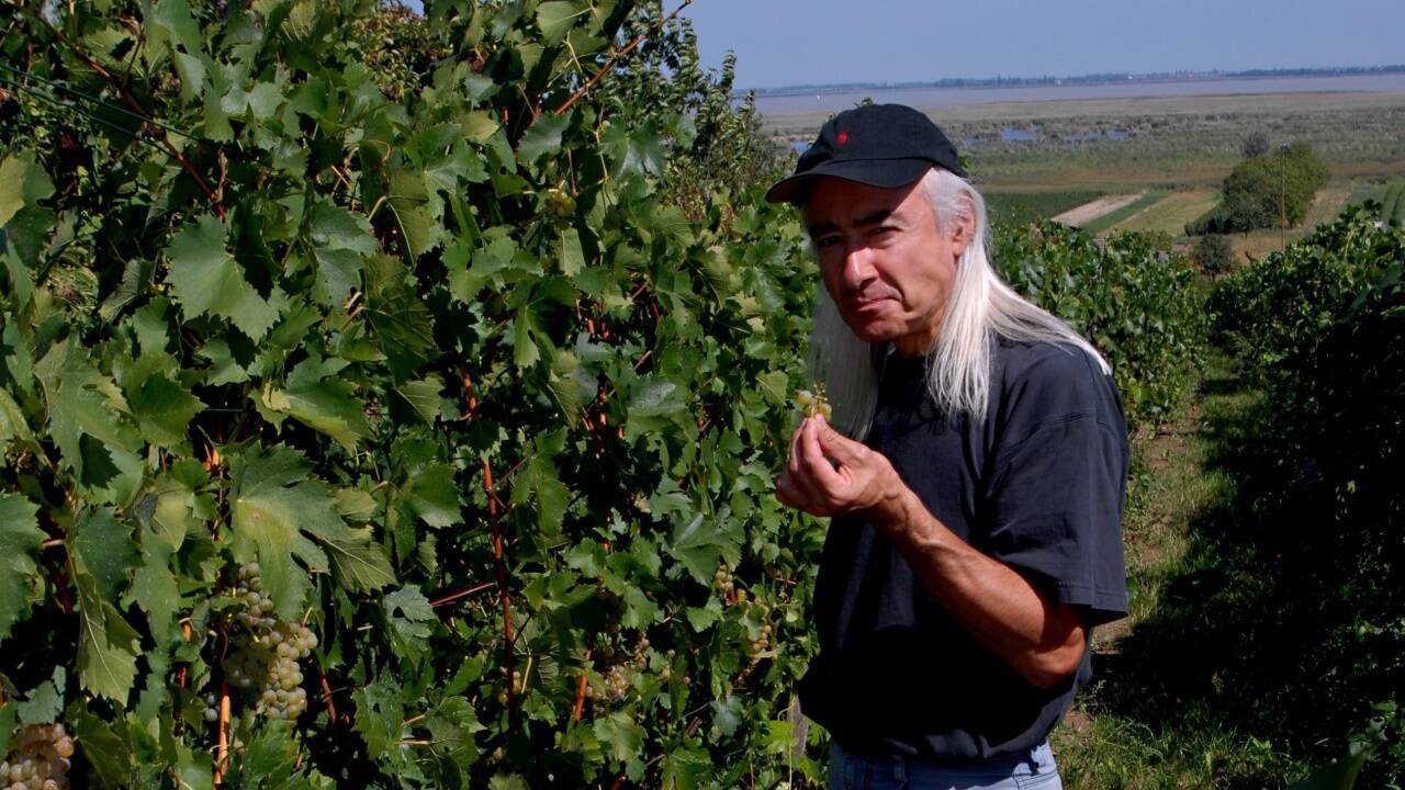 Winzer Günther Schönberger Winzer Günther Schönberger