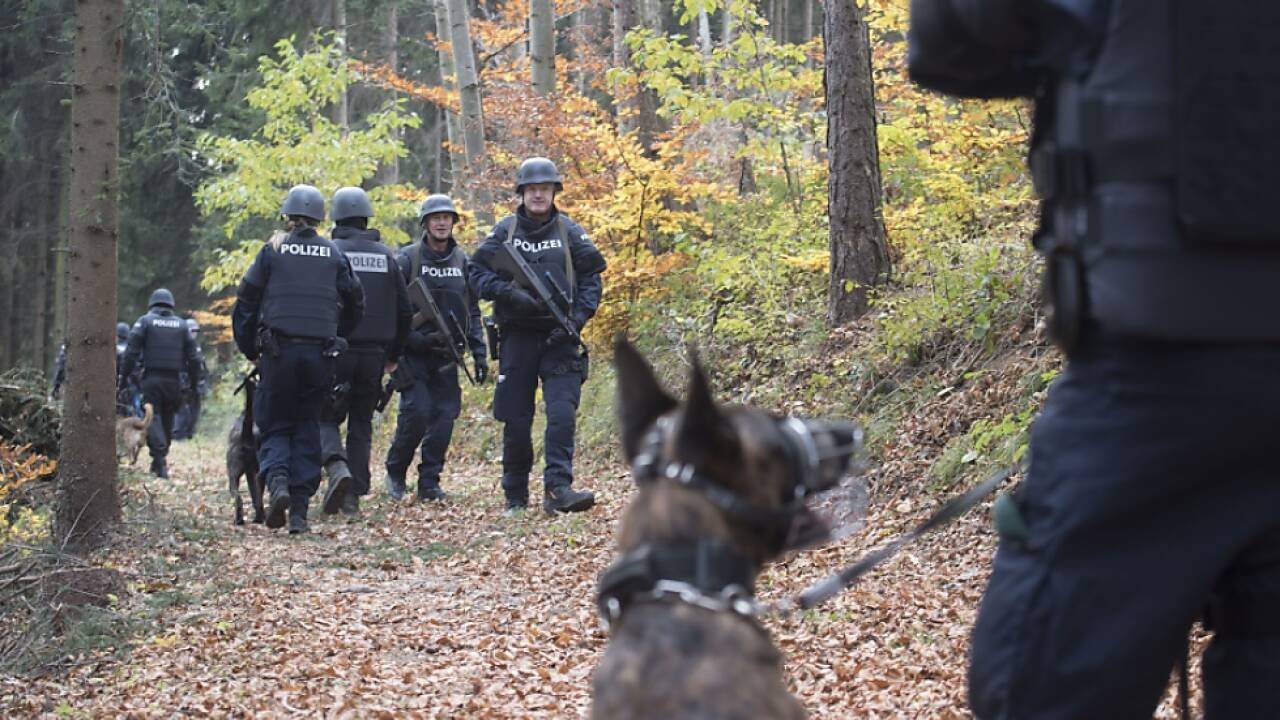 Im Wald verlor sich die Spur von Friedrich Felzmann. 
