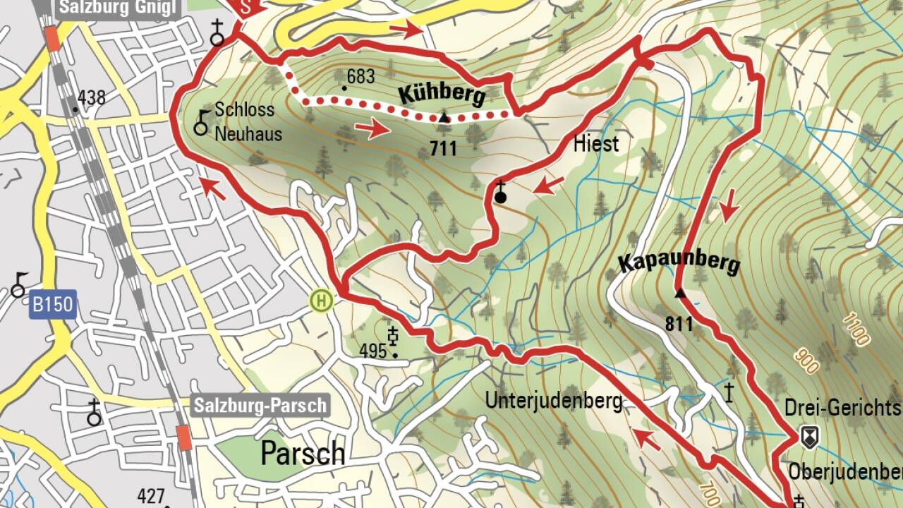 Die bunte Ziegenschar am Weg vom Kühberg (rechts) zur Gersbergalm. 
