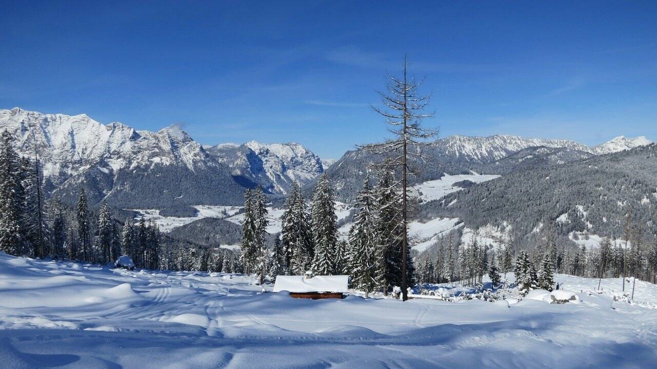 Die beste Zeit zum Gugeln