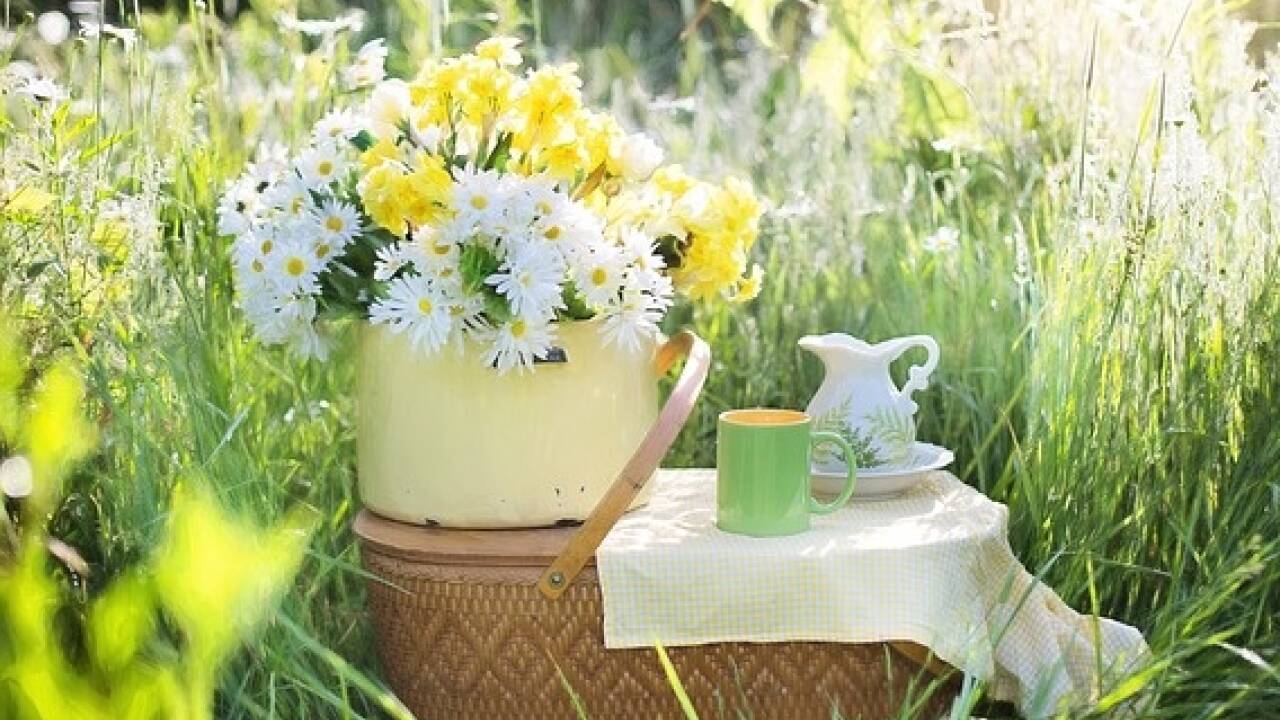 Picknick-Korb packen und ab an die frische Luft.  
