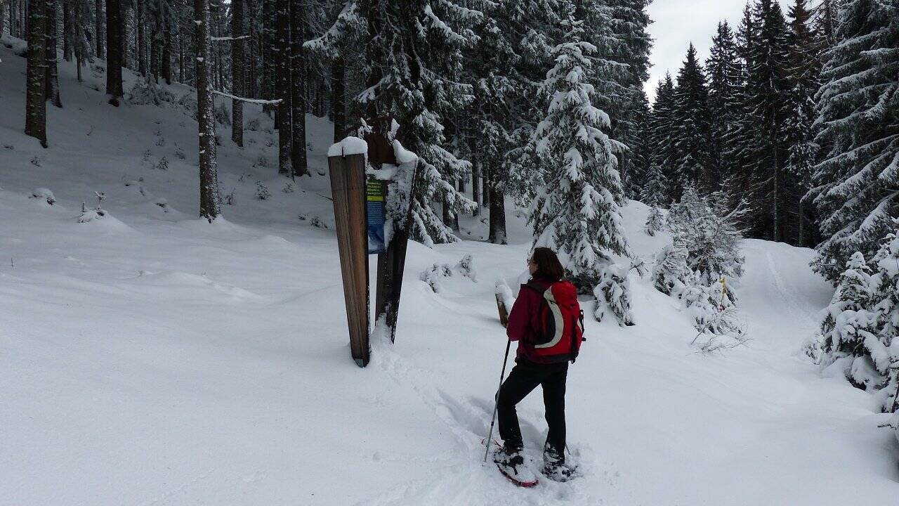 Bauernregeln und Lostage Bauernregeln und Lostage