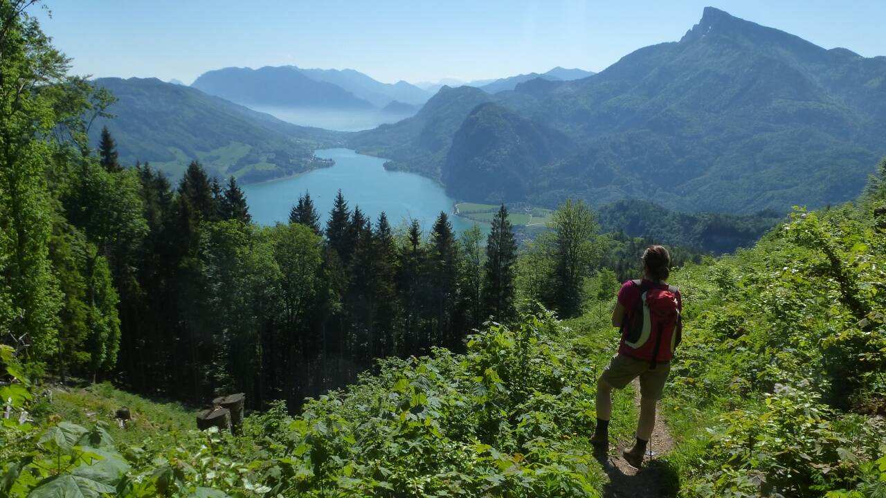 Der Blick auf eine bezaubernde Seen- und Berglandschaft. Unverkennbar der Schafberg. 