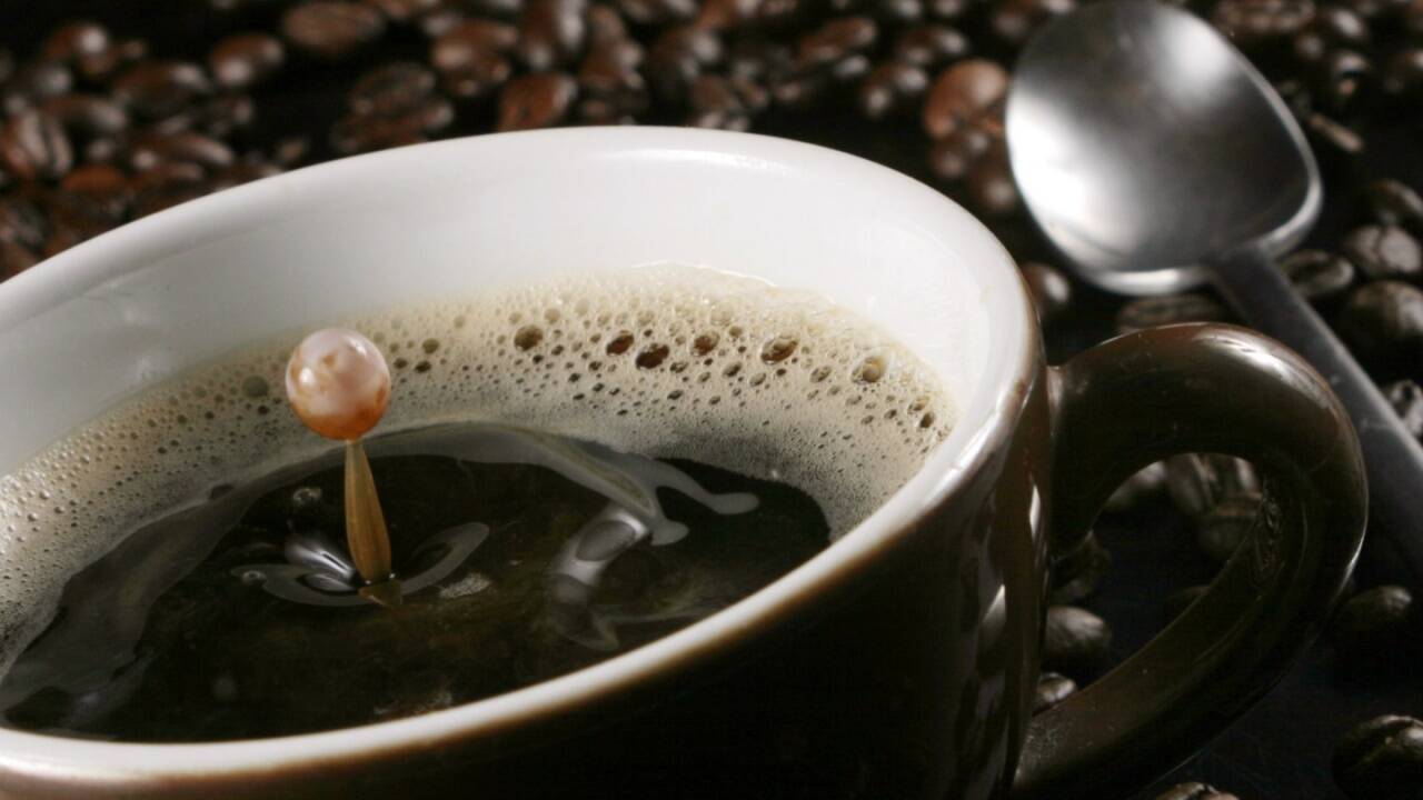 Kaffeefilter und Kaffee-Vollautomaten. Jetzt steigt Melitta auch in den Markt für Kaffee in ganzen Bohnen ein – unter dem Namen „CaféBar“. Kaffeefilter und Kaffee-Vollautomaten. Jetzt steigt Melitta auch in den Markt für Kaffee in ganzen Bohnen ein – unter dem Namen „CaféBar“.