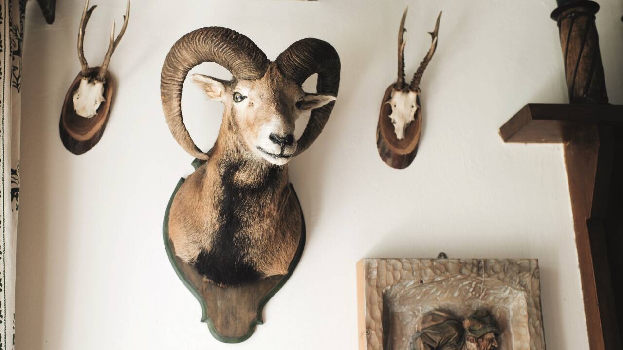 Zu Gast im Salzburger Kuglhof. 